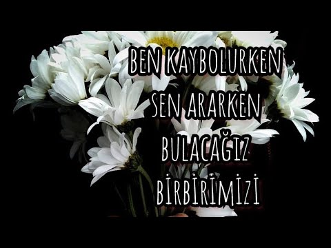 ozan engin dinç - bülent ortaçgil sevgi cover