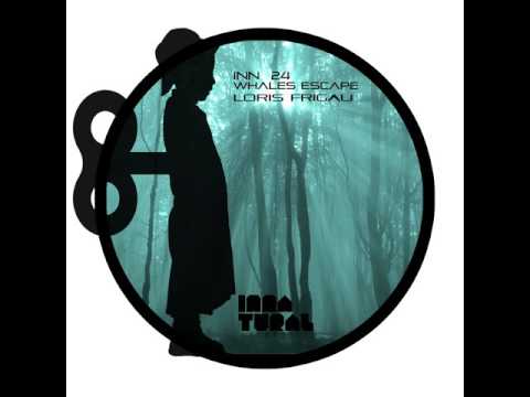 Unruly Section Of A River - Original mix - Loris Frigau - Innatural Records