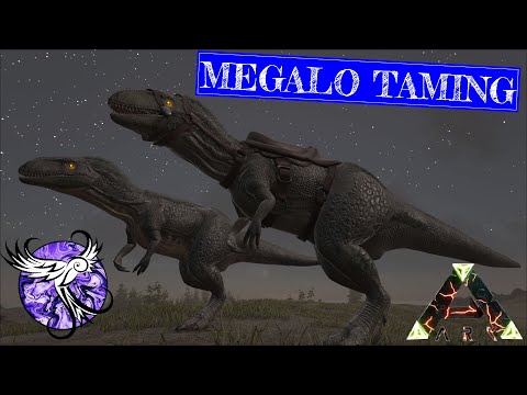 THEY HAVE NIGHT VISION | Ragnarok [S2E33] | ARK Survival Evolved