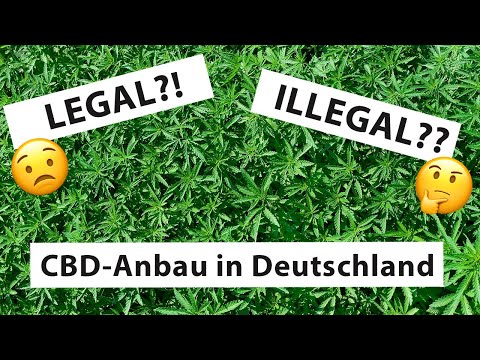 CBD in Deutschland? Wir bauen es einfach an!