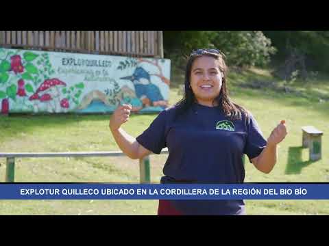 Explotur Quilleco: un panorama imperdible en la provincia del Biobío