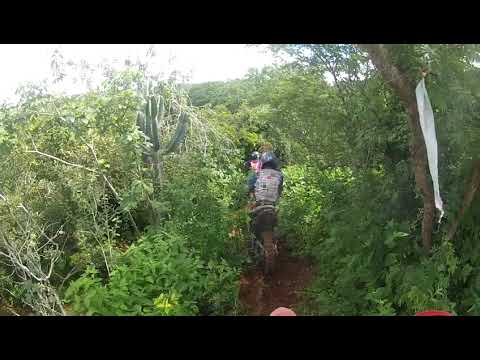 5º Trilhão de Olindina - Video 17