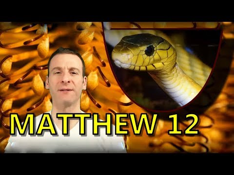 Matthew Chapter 12 Summary and What God Wants From Us