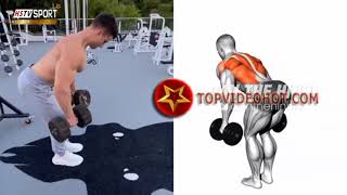 bài tập phát triển lưng xô tốt nhất