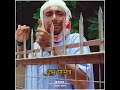 Kon Fule Tumi Sule Bolo Status Video Kon Fule Tumi Sule Bolo Whatsapp Status Download 