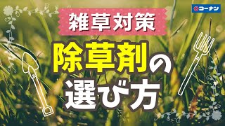 除草剤の選び方【コーナン】