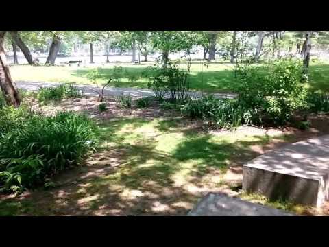 Christian Herter Park, Brighton MA