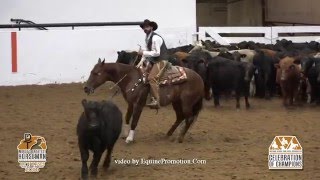SDP Blue Blood ridden by Matt J. Koch  - 2016 Celebration of Champions (Herd Work - WGH)