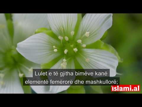 Mrekullitë shkencore të Kuranit-3 (Erërat fekonduese)