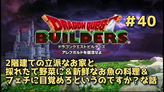 【ドラクエビルダーズ】DQBやってみた＃40 2階建ての立派なお家と採れたて野菜に＆新鮮なお魚の料理＆フェチに目覚めろというのですか？な話【女性実況】