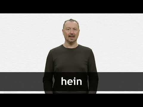 How to pronounce HEIN in French