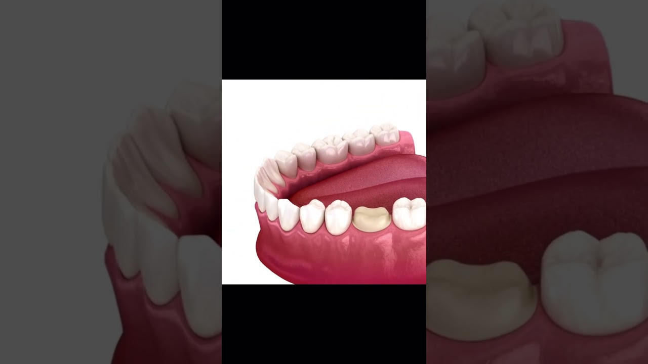 Wendy Sánchez P.-41