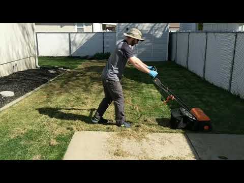 User submitted video