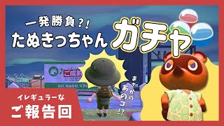 なんてかわいいの！｜あつ森雑談ラジオ-pm3時～【睡眠・作業用】