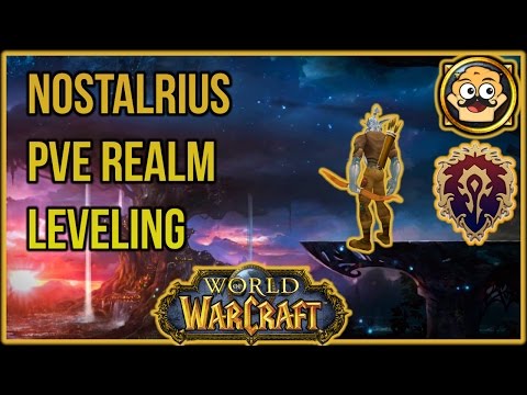 WoW Classic Nostalrius PvE - Hunter Leveling Series