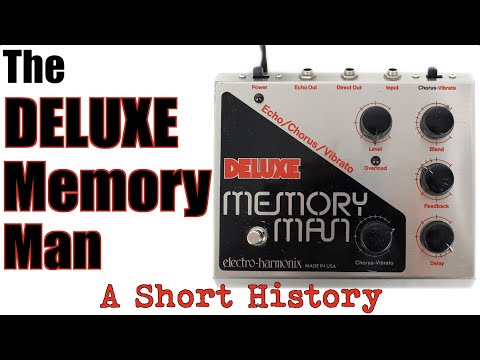 Deluxe Memory Man (90s big box version) by Electro-Harmonix