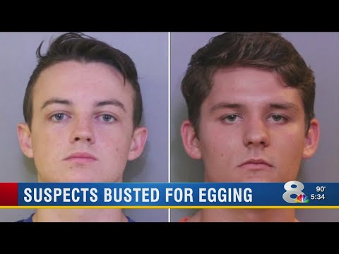 Busted For Egging
