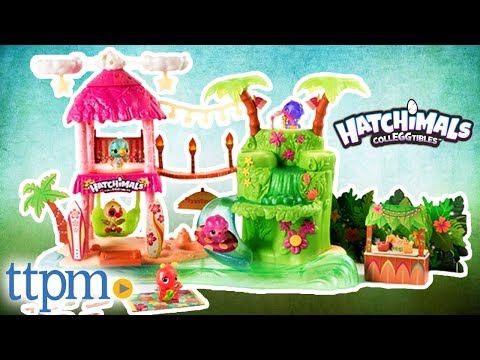 hatchimals tropical party