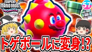 【マリオワンダー】マリオがトゲボールに変身!?W6マグマノ樹海で新たな冒険が幕を上げる!!【スーパーマリオブラザーズ ワンダー】【ゆっくり実況】