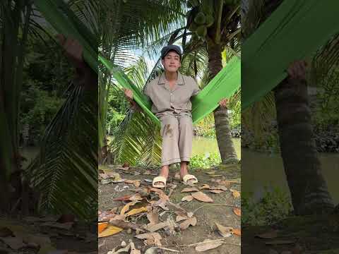 Đang Say Ke Dừa Rụng Hết Hồn 😆| PD #shorts