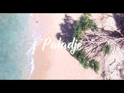 PALADJE - "Cinthia" (clip officiel)