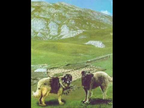 Macedonian Folk Song "Se navali Shar Planina"