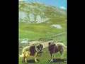 Macedonian Folk Song "Se navali Shar Planina ...