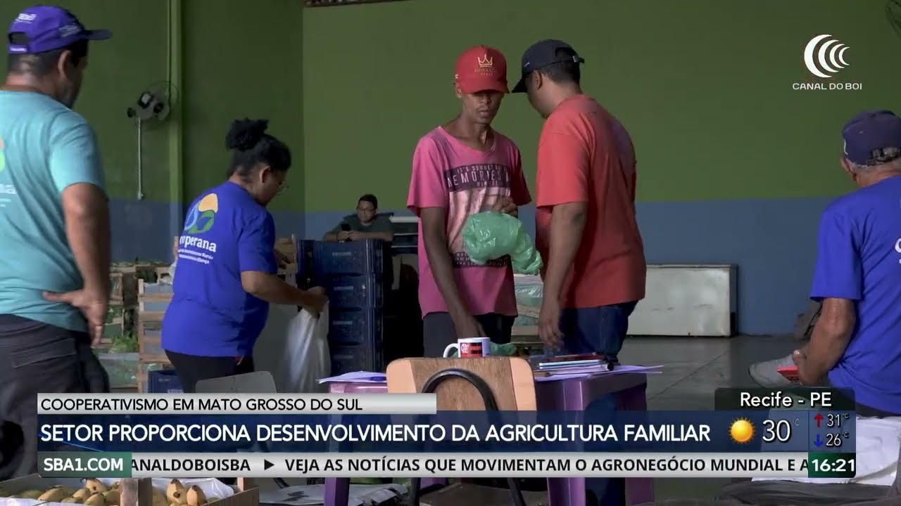 Cooperativismo aumenta o desenvolvimento da agricultura familiar em MS