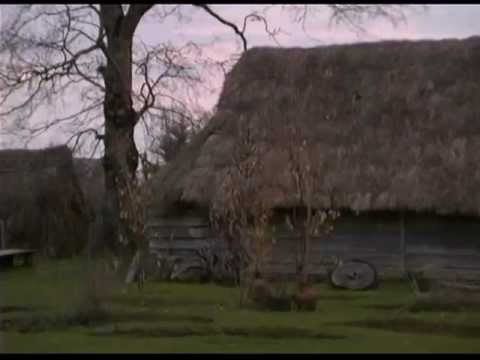 El sueño de las palabras