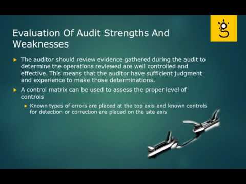 CISA Certification Domain Weighted Overview