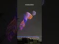 Homepage 1 Video thumbnail