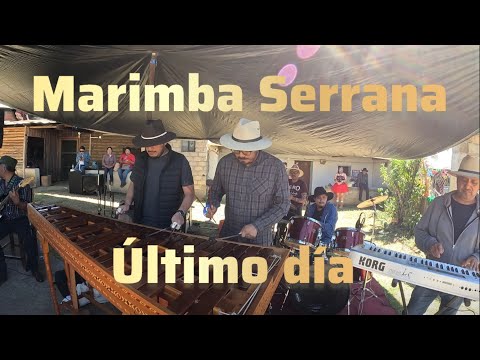 Melodías del recuerdo con Marimba Serrana🎭🎭 carnaval 2024 San Pablo Macuiltianguis