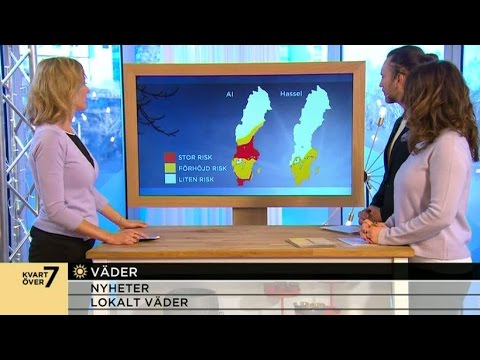 Våren är här – och likaså pollensäsongen - Nyhetsmorgon (TV4)