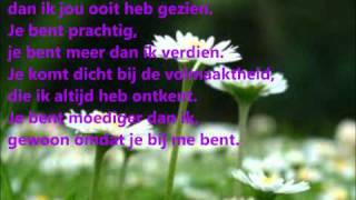 Blof - Midzomernacht