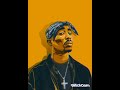 2Pac Nipsey Hussle Till I Die