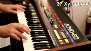 Video thumbnail for Roland Juno-60 - the 56 classic factory patches by SynthMania