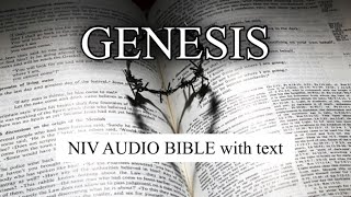 GENESIS-NIV AUDIO BIBLE (with text)