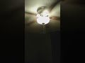 Ceiling Fans In My House Running On All Speeds