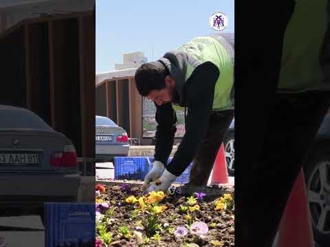Daha Yeşil Bir Şehir İçin Çalışıyoruz 28.04.2026