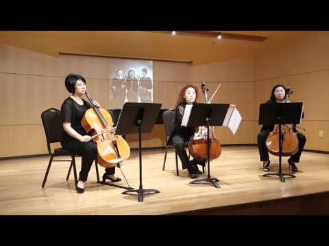 Allegro moderato in C major, D 968 for 3 cellos - F. Schubert