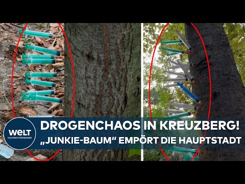 BERLIN-KREUZBERG: "Junkie-Baum" zeigt offene Drogenszene! Anwohner werfen Bezirksamt Untätigkeit vor