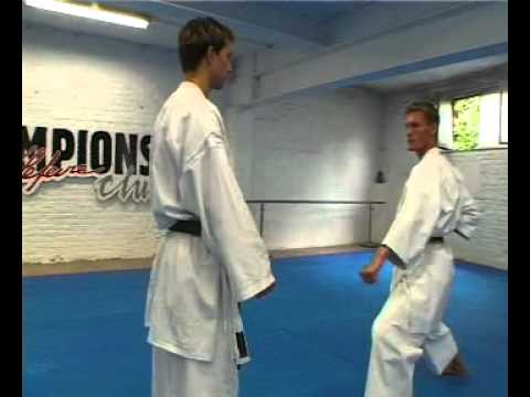2003 "Champions" 8'kyu Gohon kumite godan