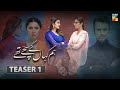 Hum Kahan Ke Sachay Thay | Teaser 1 | HUM TV | Drama