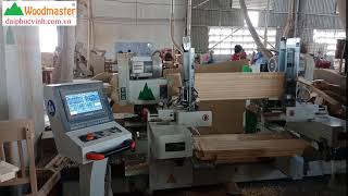 Woodmaster. MÁY PHAY MỘNG DƯƠNG CNC 2 ĐẦU giá tốt nhất TP HCM