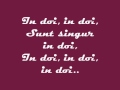 Adi Cristescu - Singur in doi / Lyrics 
