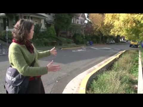 Urban Bioswales