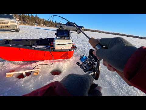 Ice Fishing Crystal Clear Northern Lake w/ FishPro Underwater Camera