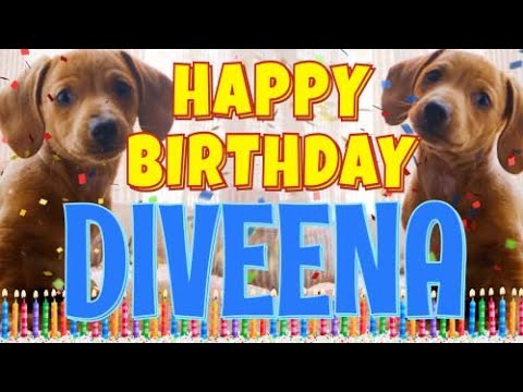 Happy Birthday Diveena! ( Funny Talking Dogs ) What Is Free On My Birthday