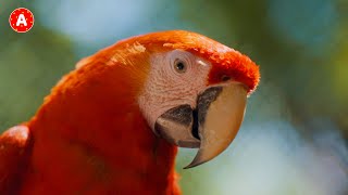 Miniature vidéo