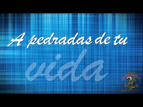 La Original Banda El Limón - Sal de mi vida (Video Lyric)